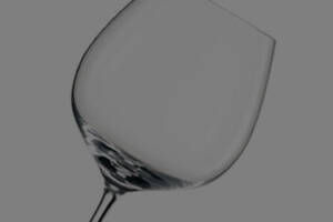Noleggio Bicchieri e Calici Schott Zwiesel - mod. Metropolitan